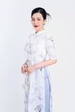 BDA50157 - Áo dài cách tân vải tơ dáng suông cổ tàu tay lỡ vai bồng nhẹ hai tà đính hoa 3D khoá thân sau - Ảnh 36