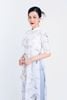 BDA50157 - Áo dài cách tân vải tơ dáng suông cổ tàu tay lỡ vai bồng nhẹ hai tà đính hoa 3D khoá thân sau - Ảnh 8